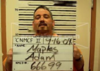 Adam G Maples