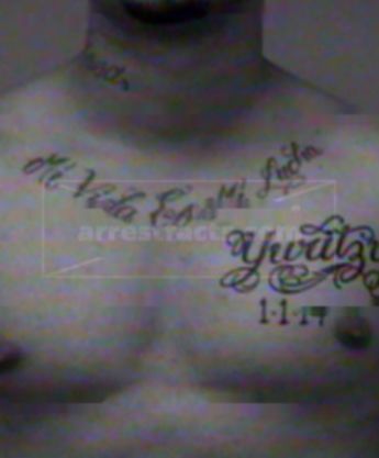 Hugo D Meza
