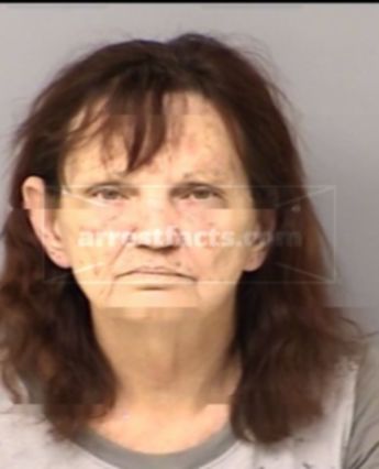 Susan Diann Brinson