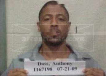 Anthony M Doss