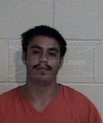 Rogelio Felix Garcia Sanchez