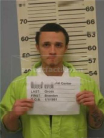 Brandon Michael Gross