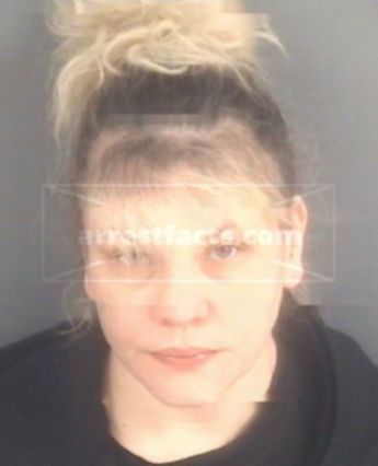 Susan Lynn Comstock