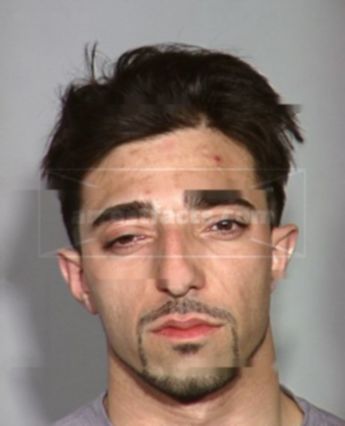 Leonardo P Barbara