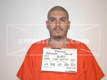Eduardo David Na Toscano