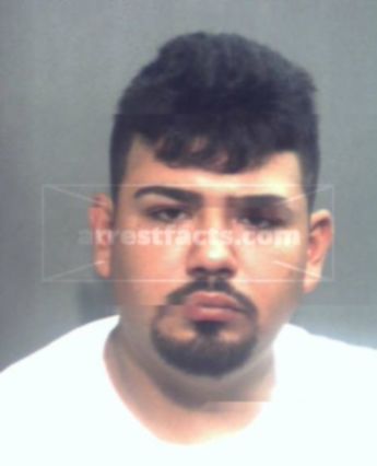 Hector Alanisflores