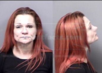 Brandi Marie Blevins