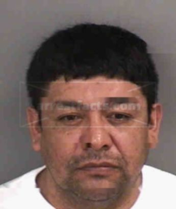 Jose Martinezestrada