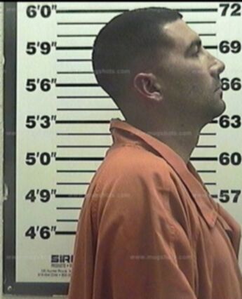 Mike Taylor