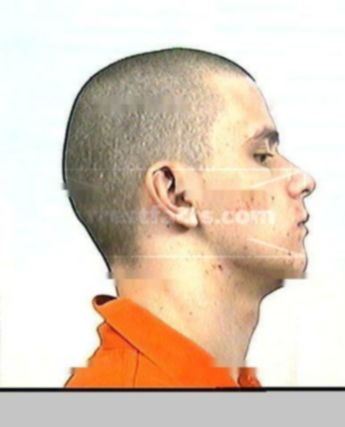 Michael J Harrelson