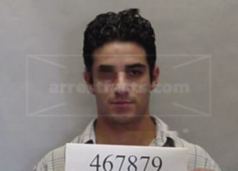 Jose L Flores-Silva