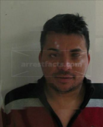 Nelson Moya