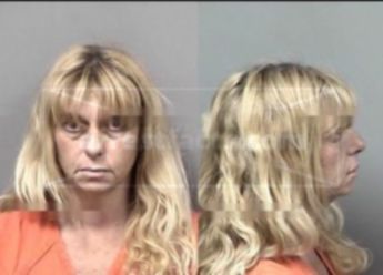 Vicki Ann Rosenburg