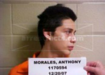 Anthony M Morales