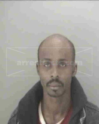 Michael Bang Williams