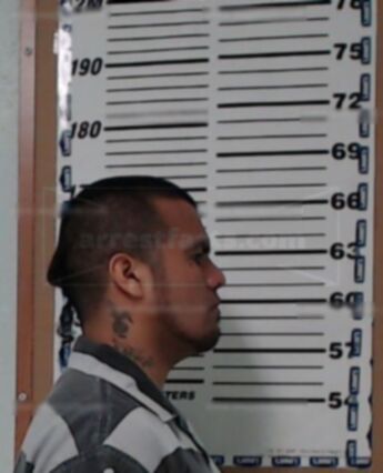 Leonardo Alvarado-Perez
