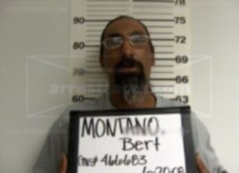 Bert Montano