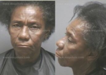 Diane Dorothy Brown