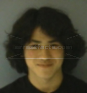 Jesse Nariaki Mcelwain