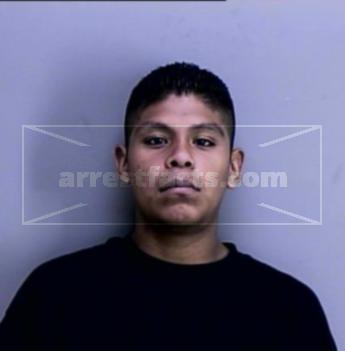 Gabino Leeann Torrescano