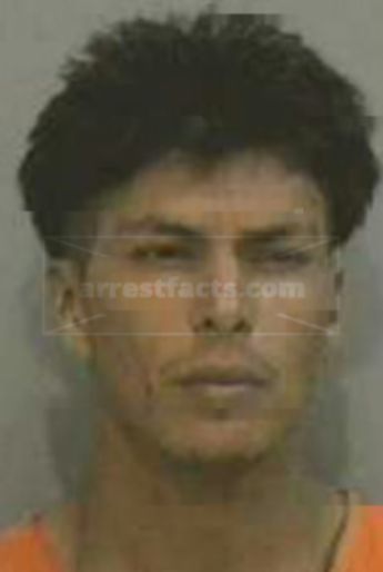 Martin C Andes