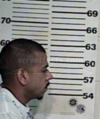 David Zamora Villanueva