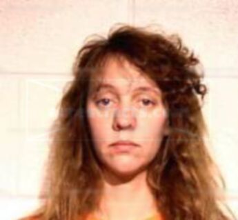 Sarah Ann Gessel