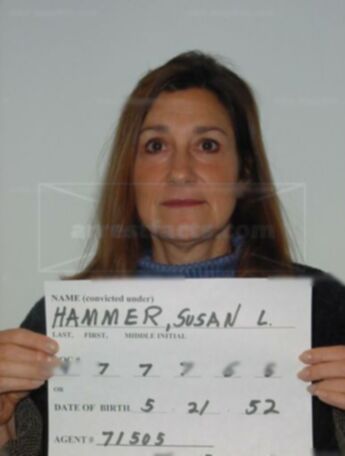 Susan L Hammer