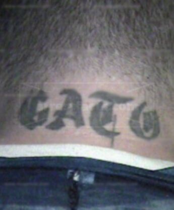 Carlos A Sostre