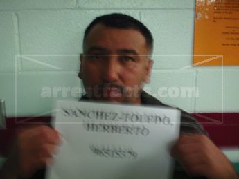 Herberto Sanchez-Toledo