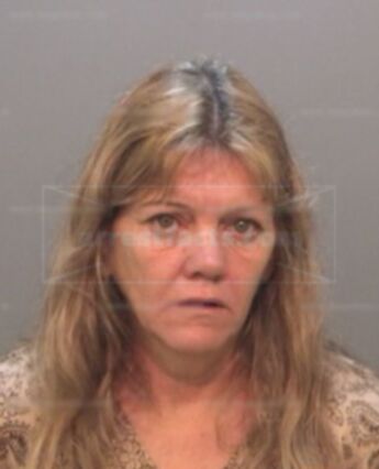 Cindy Anne Sullivan