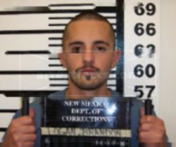 Brandon James Logan