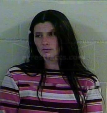 Nancy Lynn Disbrow