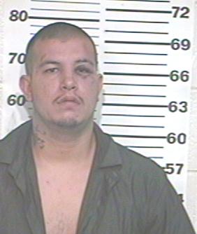 Michael Harley Cantu Navarro