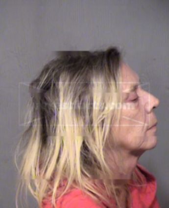 Terri Lynn Weaver