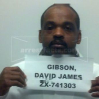 David James Gibson