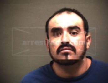 Hugo Alejandro Navarro-Gonzalez