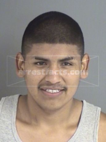 Martin Alonzo Hernandez