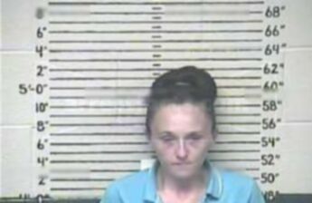 Rachel L Kitchen