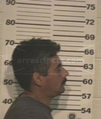 Jaime Arrez Elizondo
