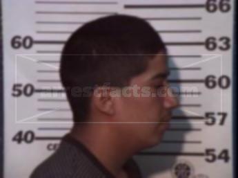 Jose Luis Castro Morgado