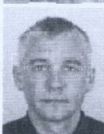 Steven Bradley Harsch