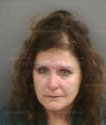 Jane Summerlin Volpe