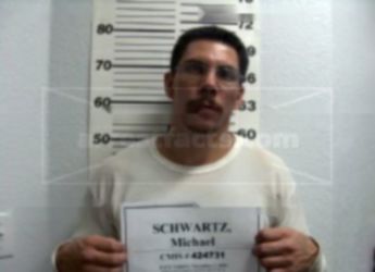 Michael J Schwartz