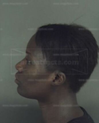 Agnes Letitia Harrison