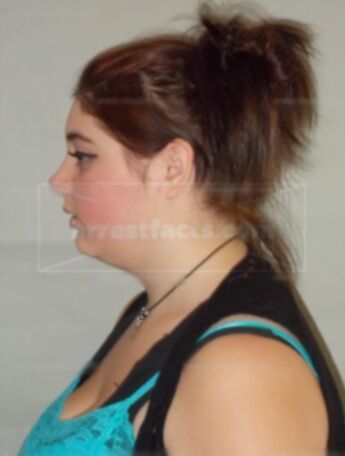 Lacey J Wentz