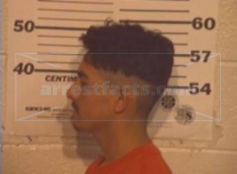 Miguel Angel Gaona