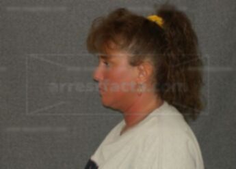 Lisa M Braden