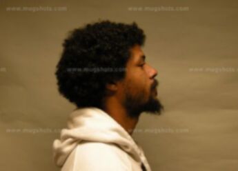 Terrence A Ingram