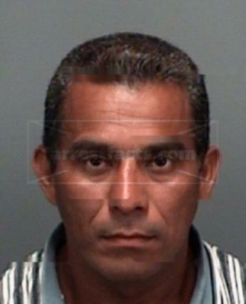Fernando P Castellano